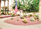 A previous Garden Club project on the corner of Waterview and Championship. The trees have grown in and now provide lovely shade for sitting and viewing the fountain. This year the Garden Club trimmed the trees, repainted the low wall and added solar lights. Each year the Garden Club has a lot of replanting; the Arizona weather that we love also plays havoc with some of our gentle plants.