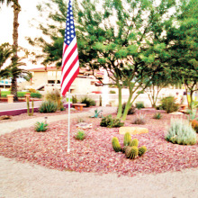 A previous Garden Club project on the corner of Waterview and Championship. The trees have grown in and now provide lovely shade for sitting and viewing the fountain. This year the Garden Club trimmed the trees, repainted the low wall and added solar lights. Each year the Garden Club has a lot of replanting; the Arizona weather that we love also plays havoc with some of our gentle plants.