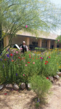St. Peter Indian Mission, Bapchule, Arizona