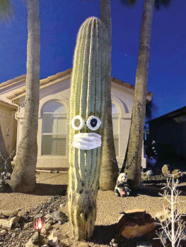 The saguaro on Oakmont is social distancing, too! (Photo by Sally Klebba)